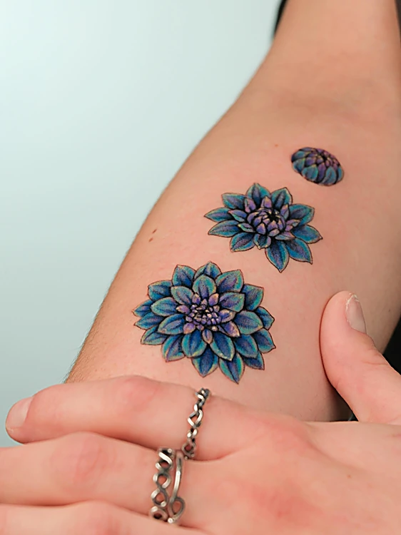 Tres dalias azules a color en el antebrazo